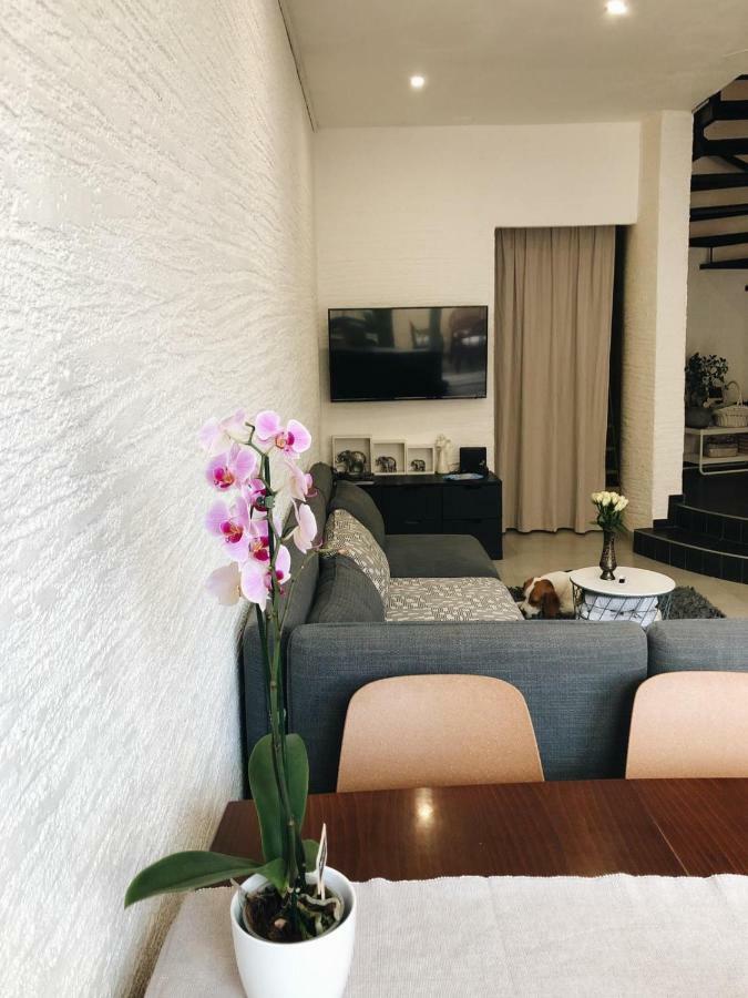 Visiani Apartment Szybenik Zewnętrze zdjęcie